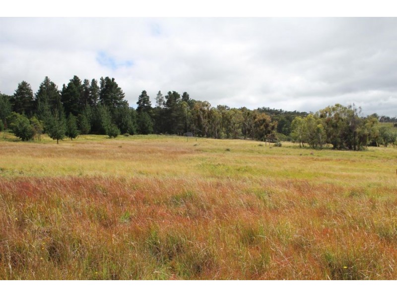 Mt Mackenzie Road, Tenterfield NSW 2372