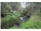 Mt Mackenzie Road, Tenterfield NSW 2372
