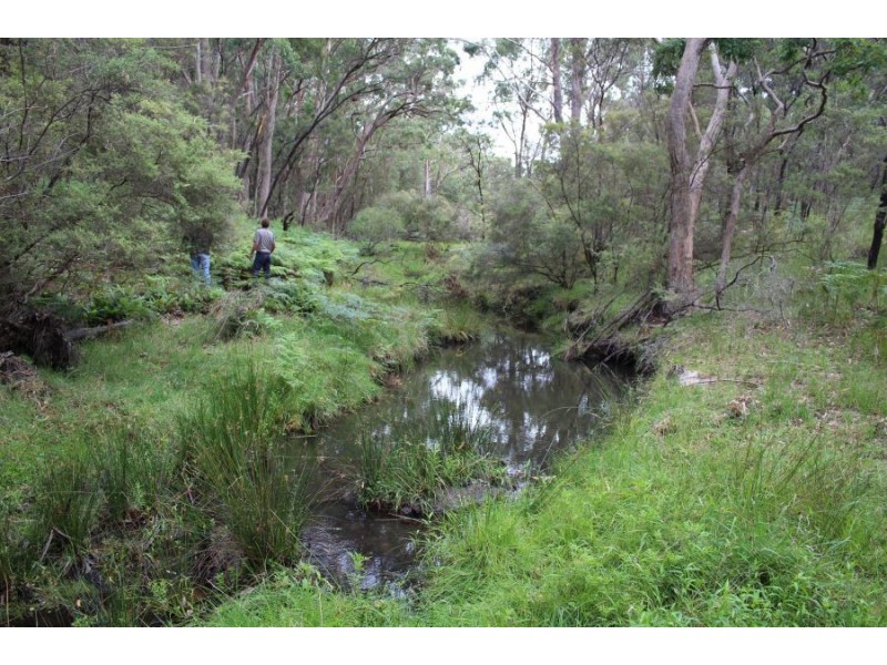 Mt Mackenzie Road, Tenterfield NSW 2372