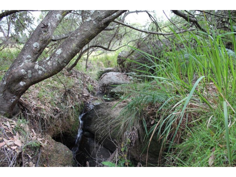 Mt Mackenzie Road, Tenterfield NSW 2372