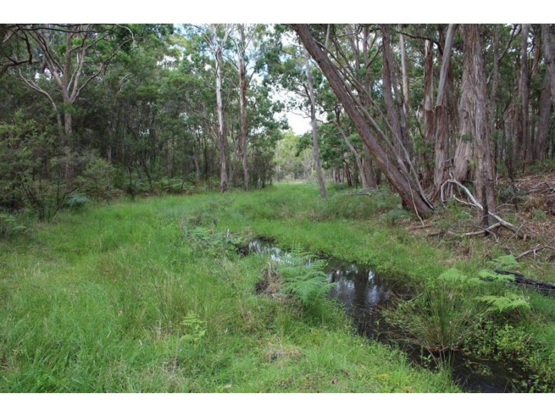 Mt Mackenzie Road, Tenterfield NSW 2372