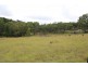 Mt Mackenzie Road, Tenterfield NSW 2372
