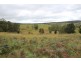 Mt Mackenzie Road, Tenterfield NSW 2372