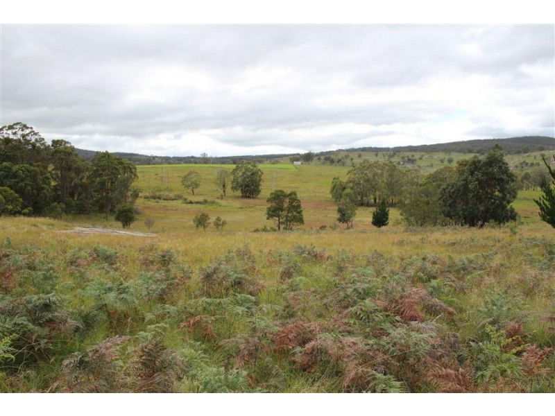 Mt Mackenzie Road, Tenterfield NSW 2372
