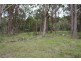 Mt Mackenzie Road, Tenterfield NSW 2372
