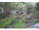 Mt Mackenzie Road, Tenterfield NSW 2372