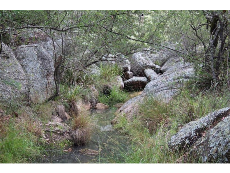 Mt Mackenzie Road, Tenterfield NSW 2372