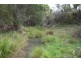 Mt Mackenzie Road, Tenterfield NSW 2372