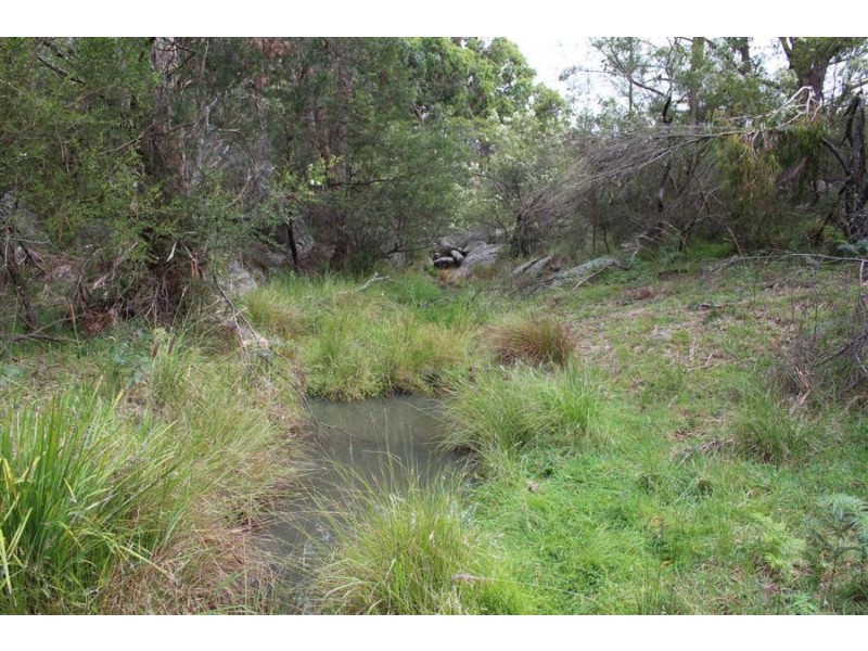 Mt Mackenzie Road, Tenterfield NSW 2372
