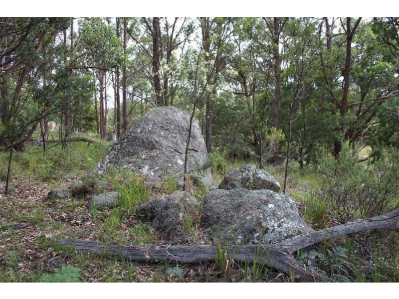 Mt Mackenzie Road, Tenterfield NSW 2372