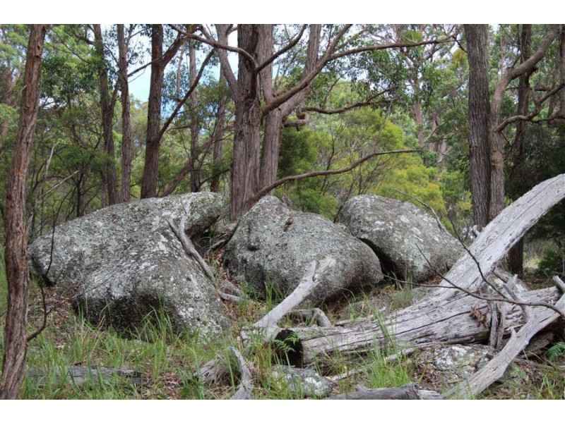 Mt Mackenzie Road, Tenterfield NSW 2372