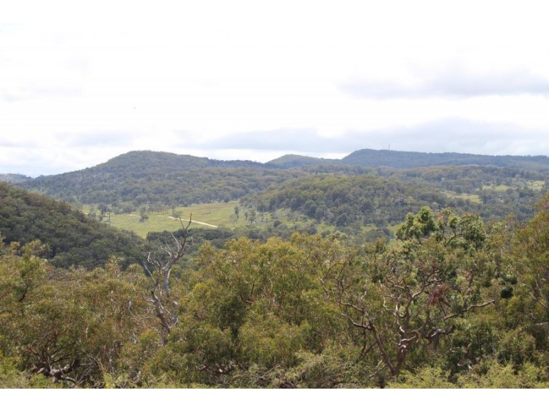 Mt Mackenzie Road, Tenterfield NSW 2372