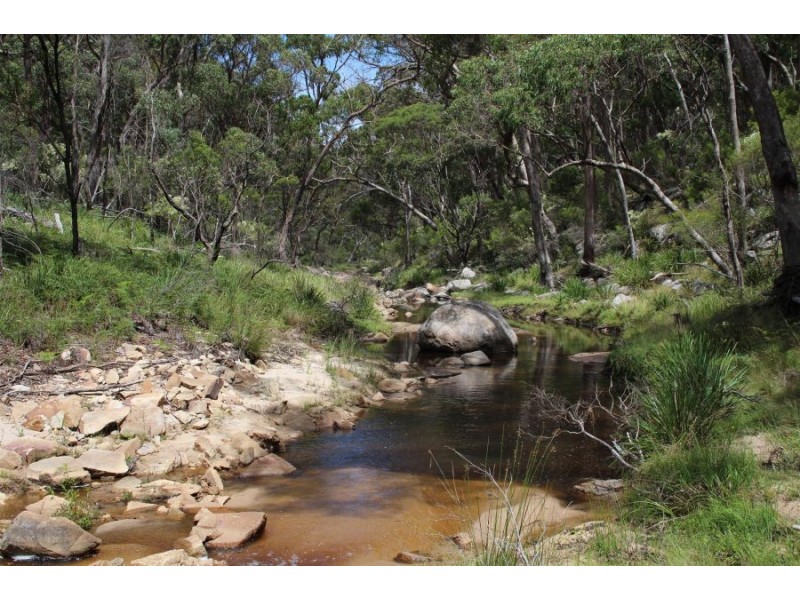 Mt Mackenzie Road, Tenterfield NSW 2372