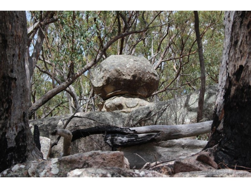 Mt Mackenzie Road, Tenterfield NSW 2372