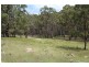 Mt Mackenzie Road, Tenterfield NSW 2372