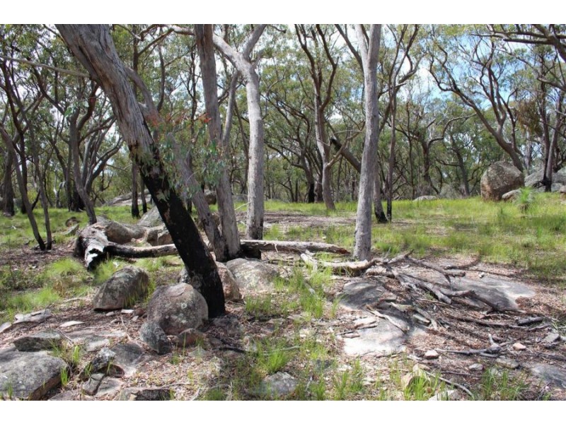 Mt Mackenzie Road, Tenterfield NSW 2372