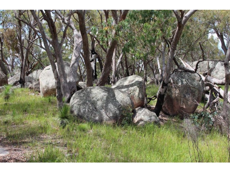 Mt Mackenzie Road, Tenterfield NSW 2372