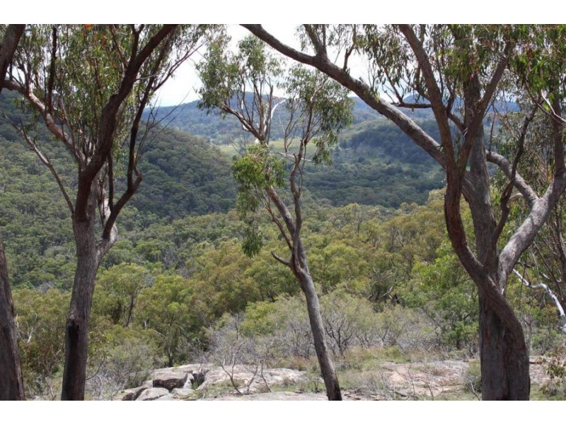 Mt Mackenzie Road, Tenterfield NSW 2372