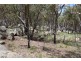 Mt Mackenzie Road, Tenterfield NSW 2372