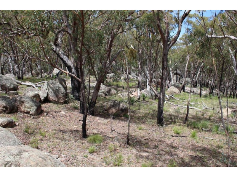 Mt Mackenzie Road, Tenterfield NSW 2372