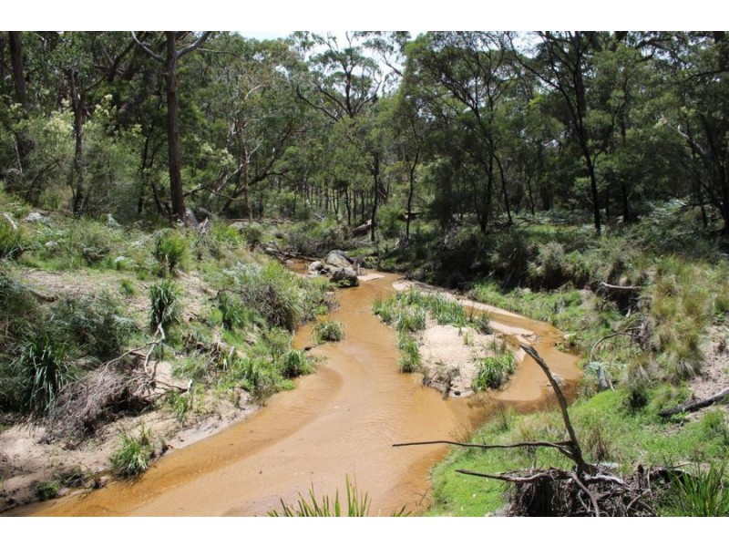 Mt Mackenzie Road, Tenterfield NSW 2372