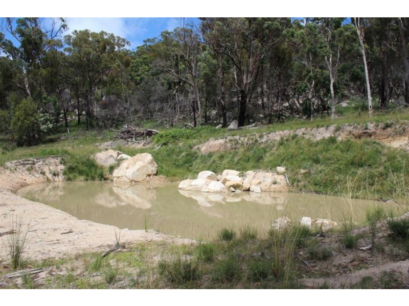 Mt Mackenzie Road, Tenterfield NSW 2372