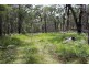 Mt Mackenzie Road, Tenterfield NSW 2372