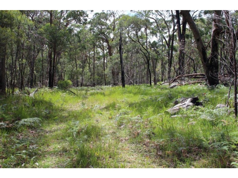Mt Mackenzie Road, Tenterfield NSW 2372