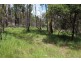 Mt Mackenzie Road, Tenterfield NSW 2372