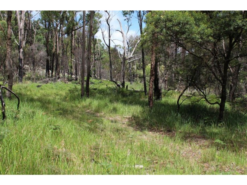 Mt Mackenzie Road, Tenterfield NSW 2372