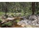 Mt Mackenzie Road, Tenterfield NSW 2372