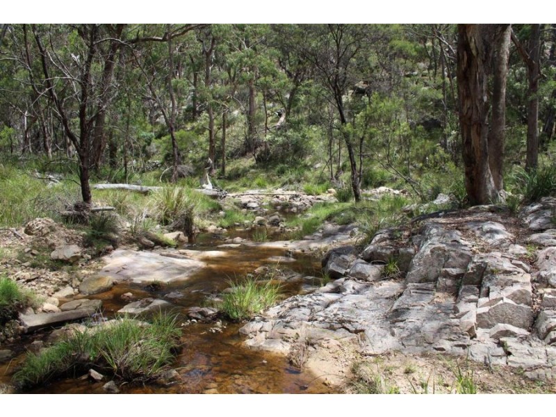 Mt Mackenzie Road, Tenterfield NSW 2372