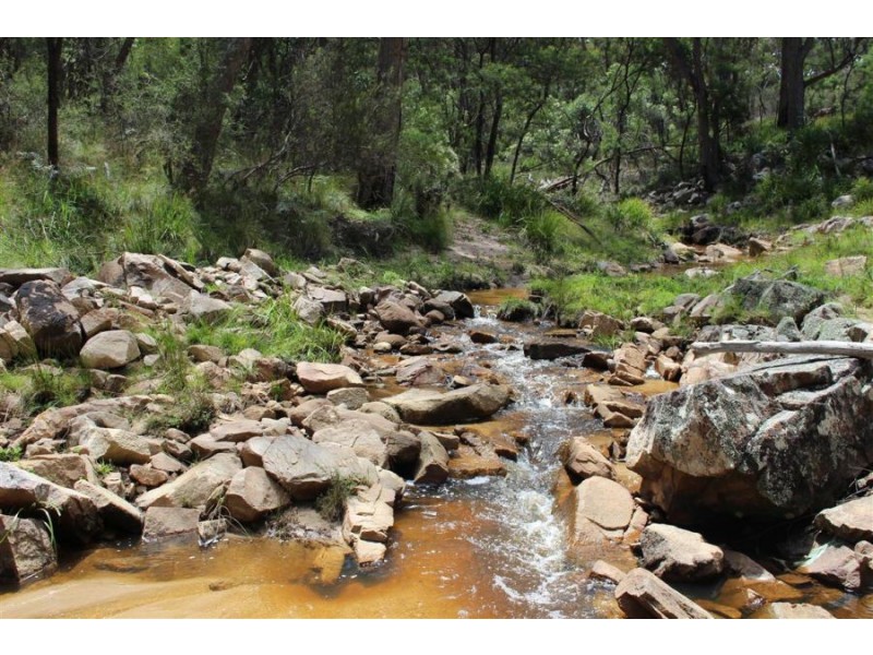 Mt Mackenzie Road, Tenterfield NSW 2372