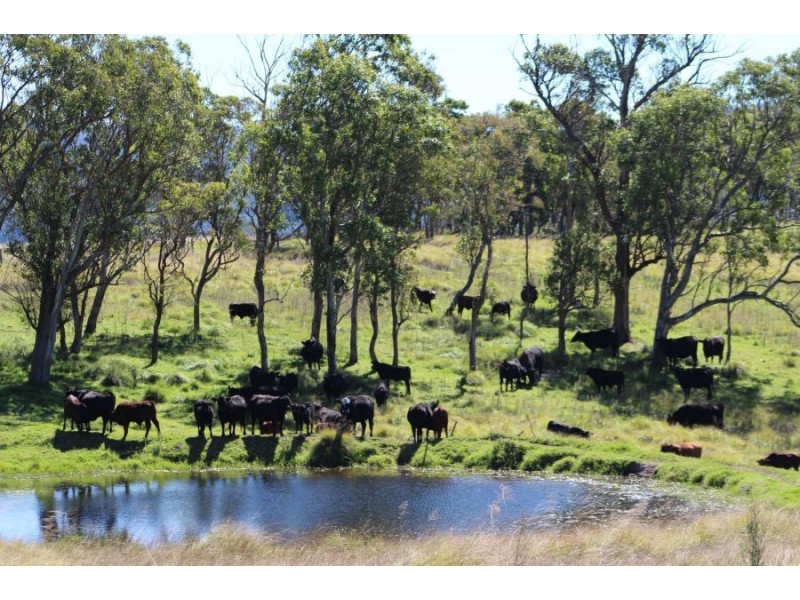 “Kiriwina” 176 Black Swamp Road, Tenterfield NSW 2372