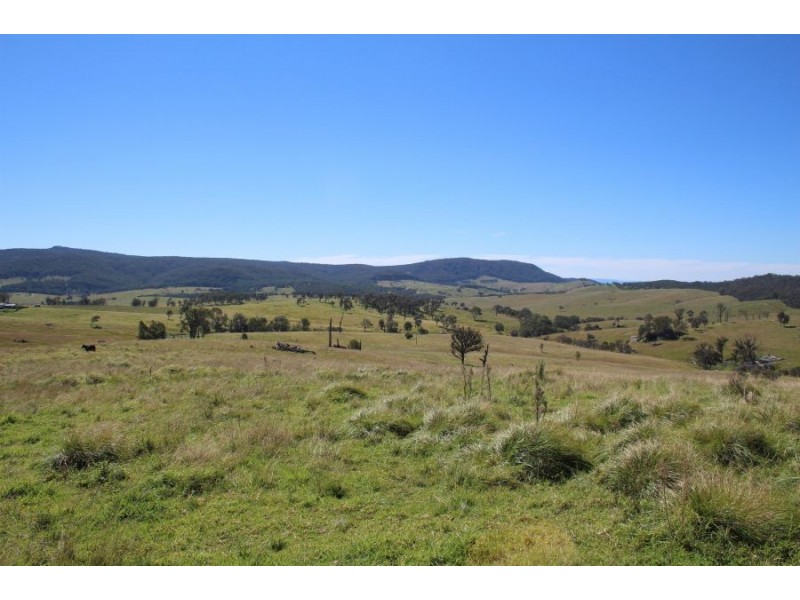 “Kiriwina” 176 Black Swamp Road, Tenterfield NSW 2372