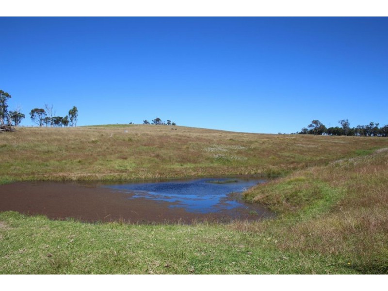 “Kiriwina” 176 Black Swamp Road, Tenterfield NSW 2372