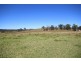 “Kiriwina” 176 Black Swamp Road, Tenterfield NSW 2372