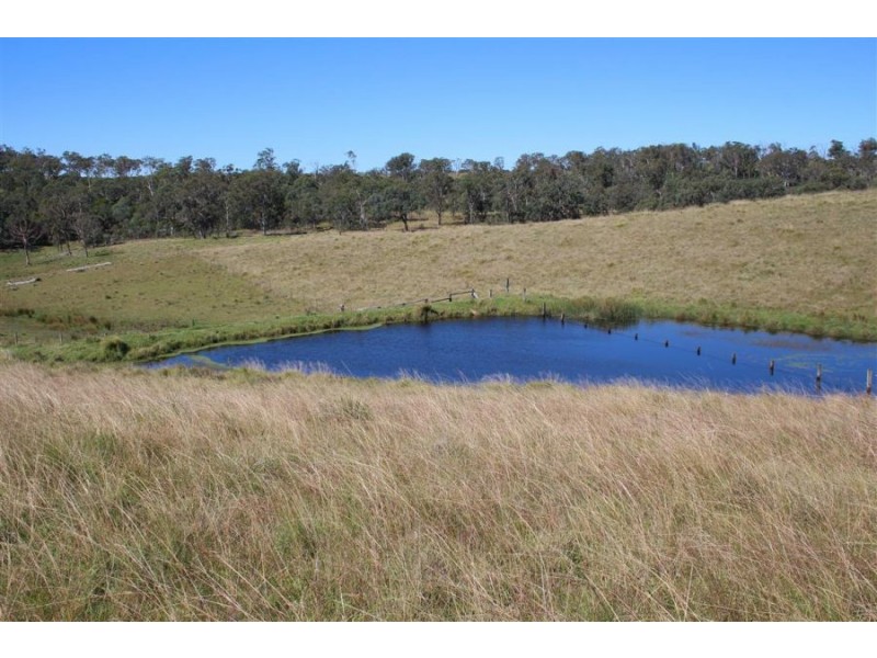 “Kiriwina” 176 Black Swamp Road, Tenterfield NSW 2372