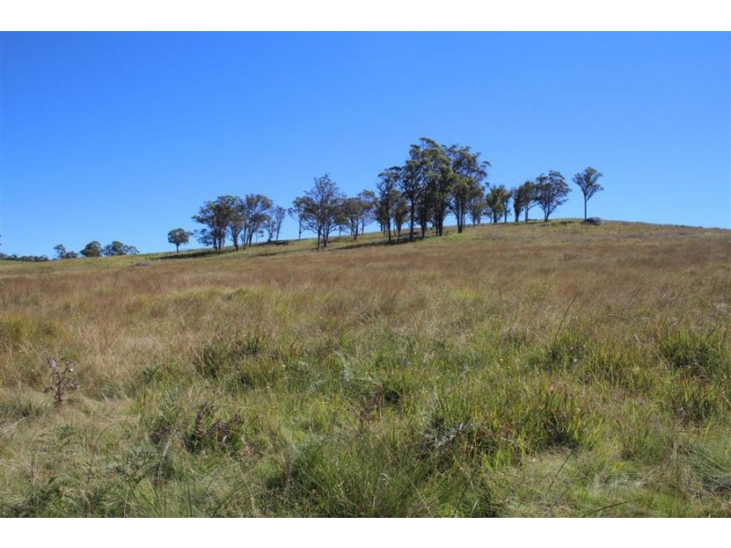 “Kiriwina” 176 Black Swamp Road, Tenterfield NSW 2372