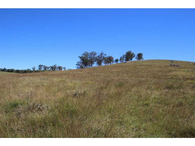 “Kiriwina” 176 Black Swamp Road, Tenterfield NSW 2372