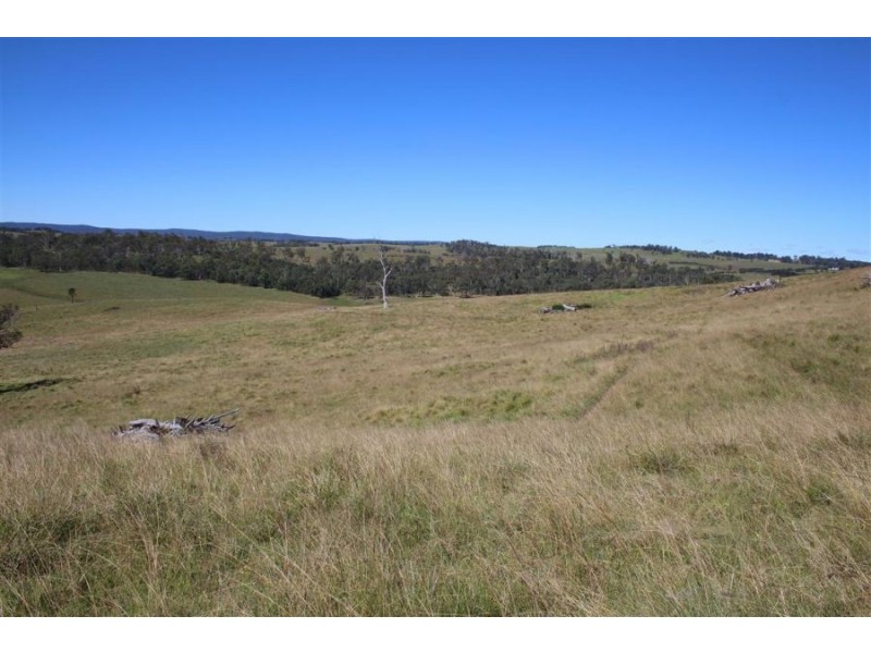 “Kiriwina” 176 Black Swamp Road, Tenterfield NSW 2372