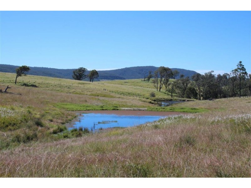 “Kiriwina” 176 Black Swamp Road, Tenterfield NSW 2372