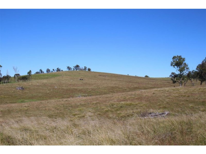 “Kiriwina” 176 Black Swamp Road, Tenterfield NSW 2372