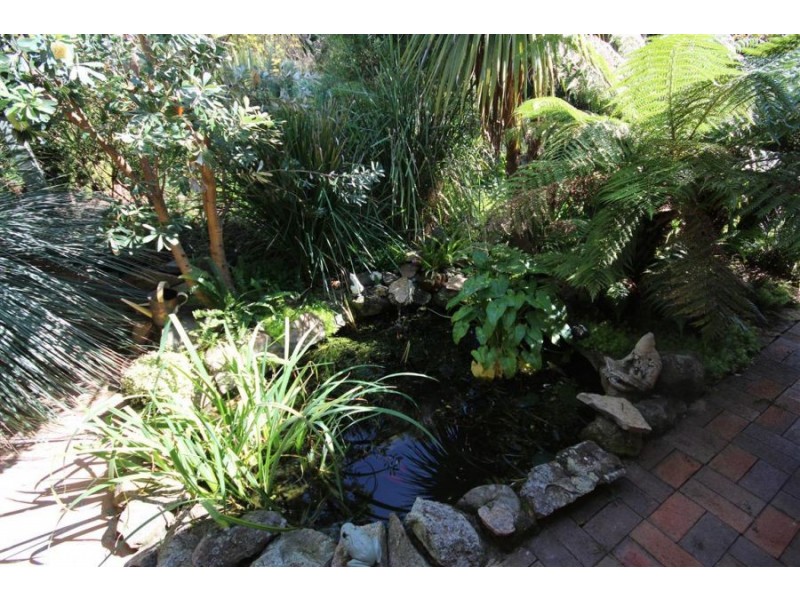 24 George Street, Tenterfield NSW 2372