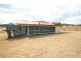 24 Mole River Road, Tenterfield NSW 2372