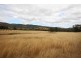 24 Mole River Road, Tenterfield NSW 2372