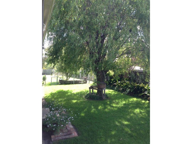 147 Bulwer Street, Tenterfield NSW 2372