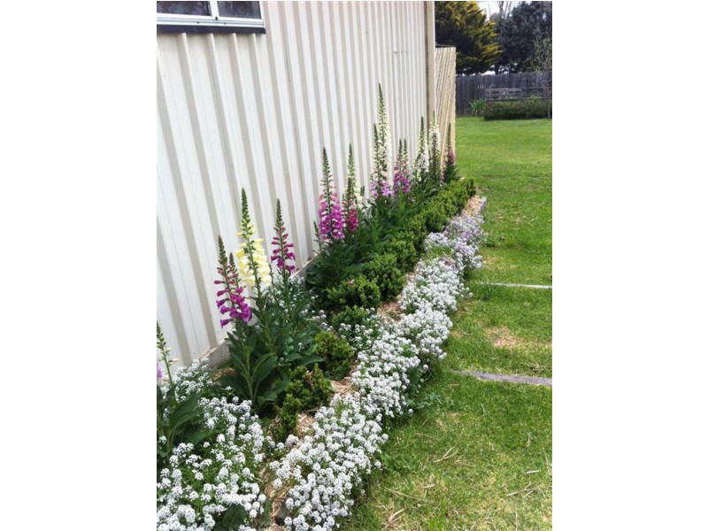 147 Bulwer Street, Tenterfield NSW 2372