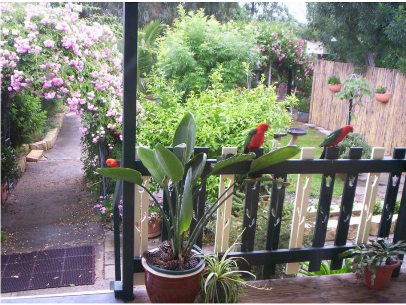 Lot 16 New England Highway, Tenterfield NSW 2372