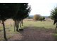Lot 16 New England Highway, Tenterfield NSW 2372